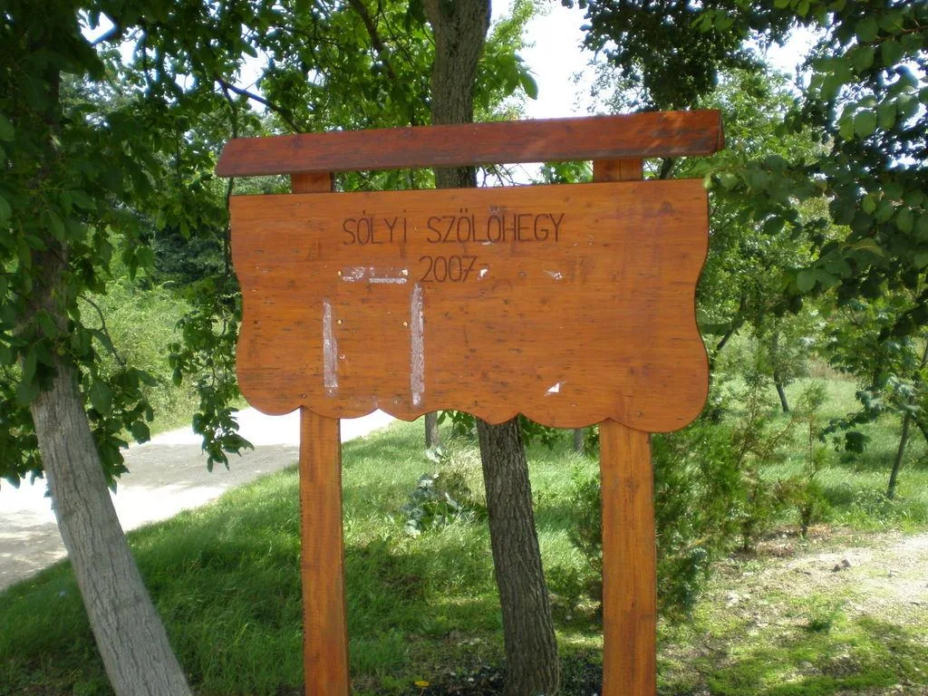 Szőlőhegy Fotók