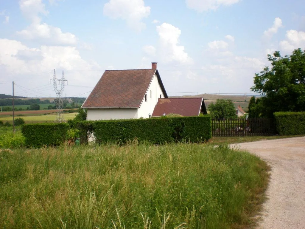 Szőlőhegy Fotók