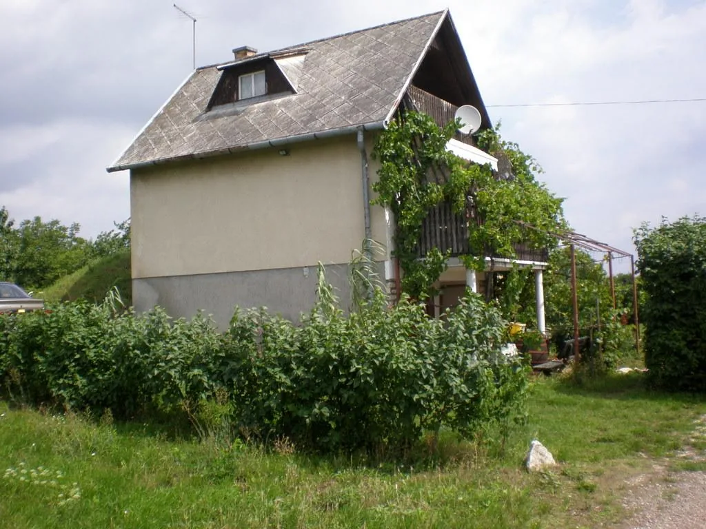 Szőlőhegy Fotók