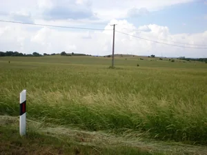 Szőlőhegy Fotók
