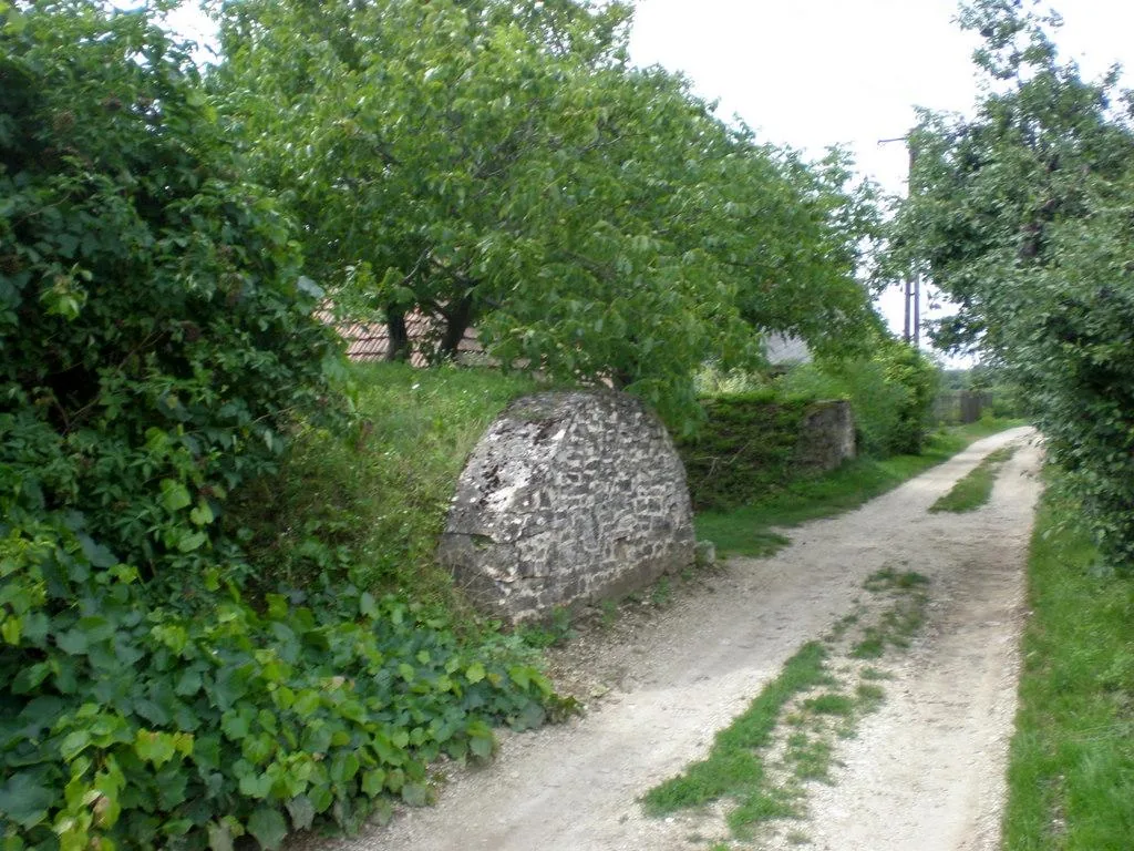 Szőlőhegy Fotók