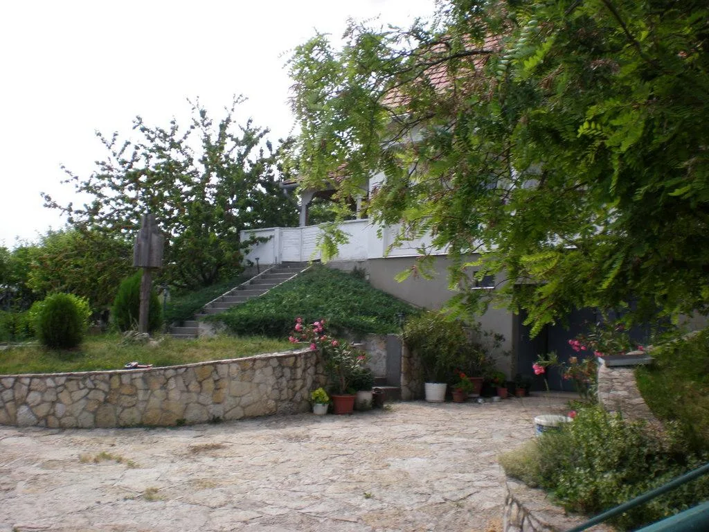 Szőlőhegy Fotók