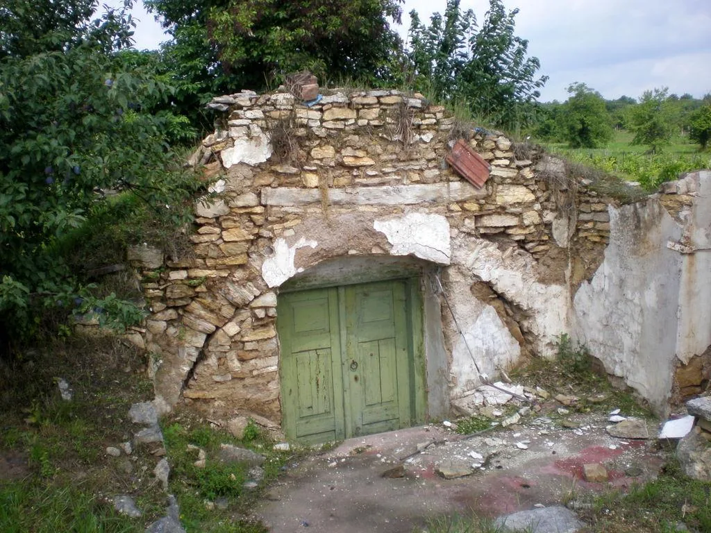 Szőlőhegy Fotók