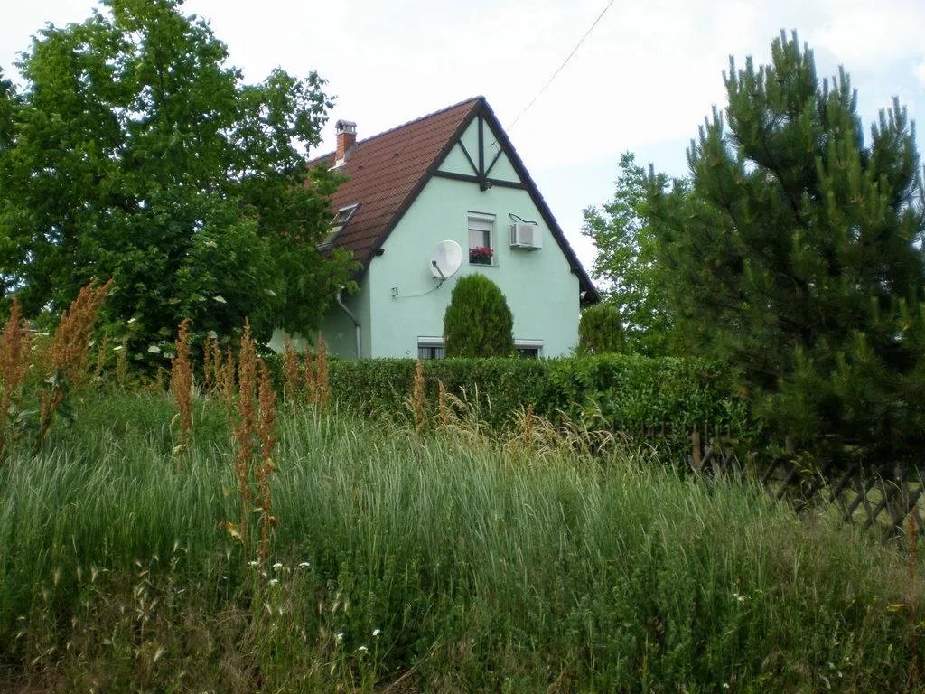 Szőlőhegy Fotók
