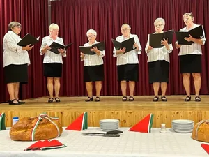 Fotók: