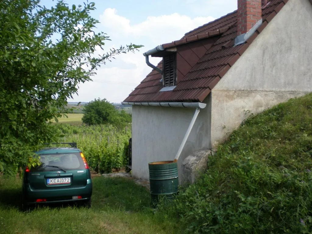 Szőlőhegy Fotók