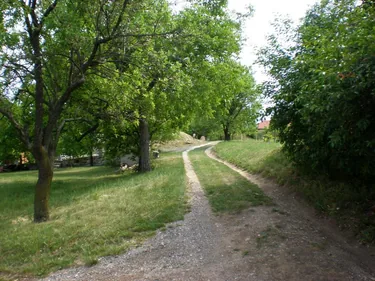 Szőlőhegy
