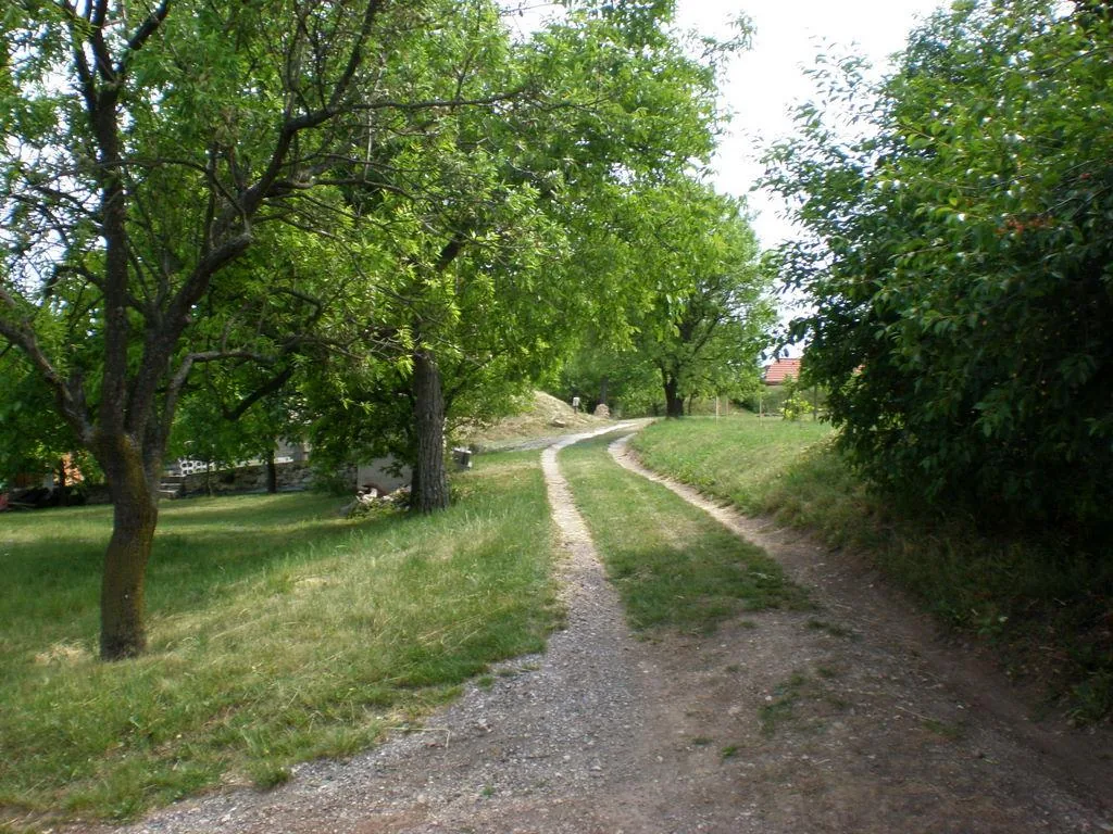 Szőlőhegy Fotók