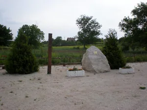 Szőlőhegy Fotók