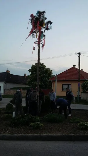 Májusfa állítás 2017