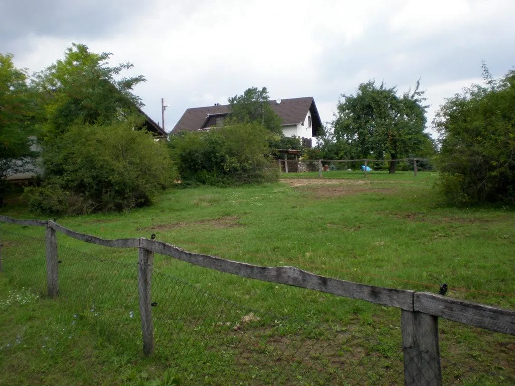Szőlőhegy Fotók