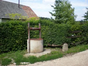 Szőlőhegy Fotók