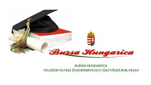 'Felhívás Bursa Hungarica pályázatra' cikk borítóképe