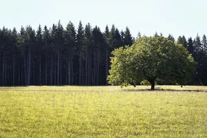 Kapcsolódó képek, hogy tudjuk, mire kellene vigyáznunk...