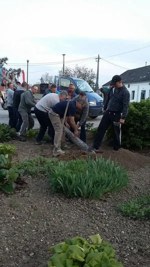 Májusfa állítás 2017