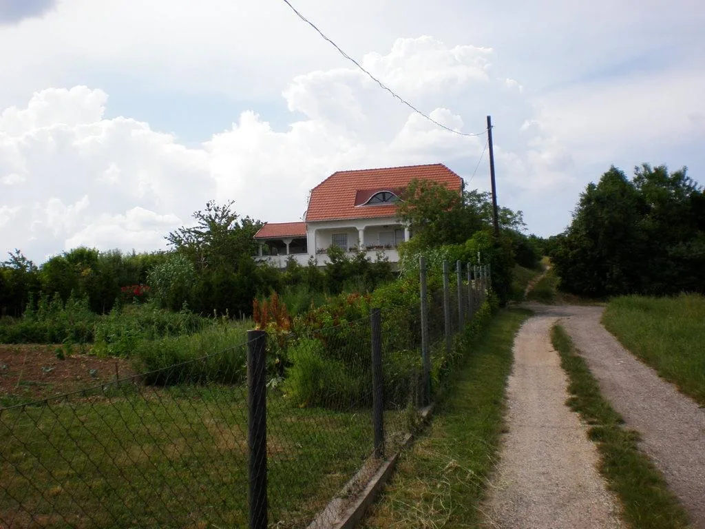 Szőlőhegy Fotók