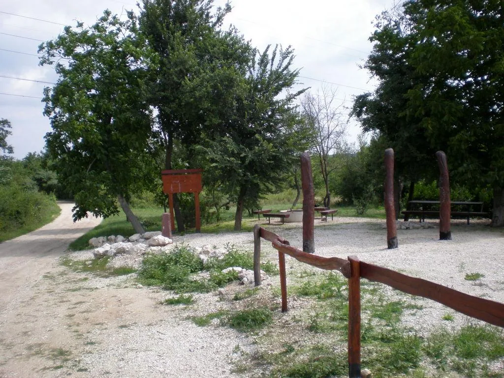 Szőlőhegy Fotók