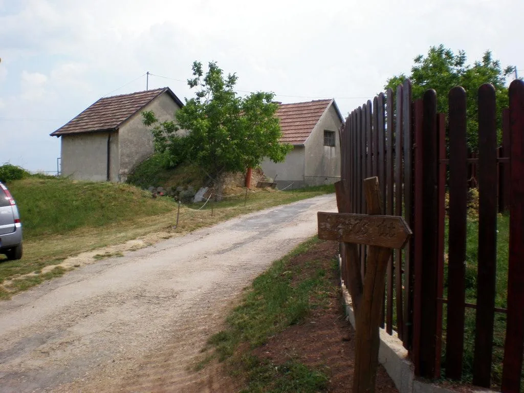 Szőlőhegy Fotók