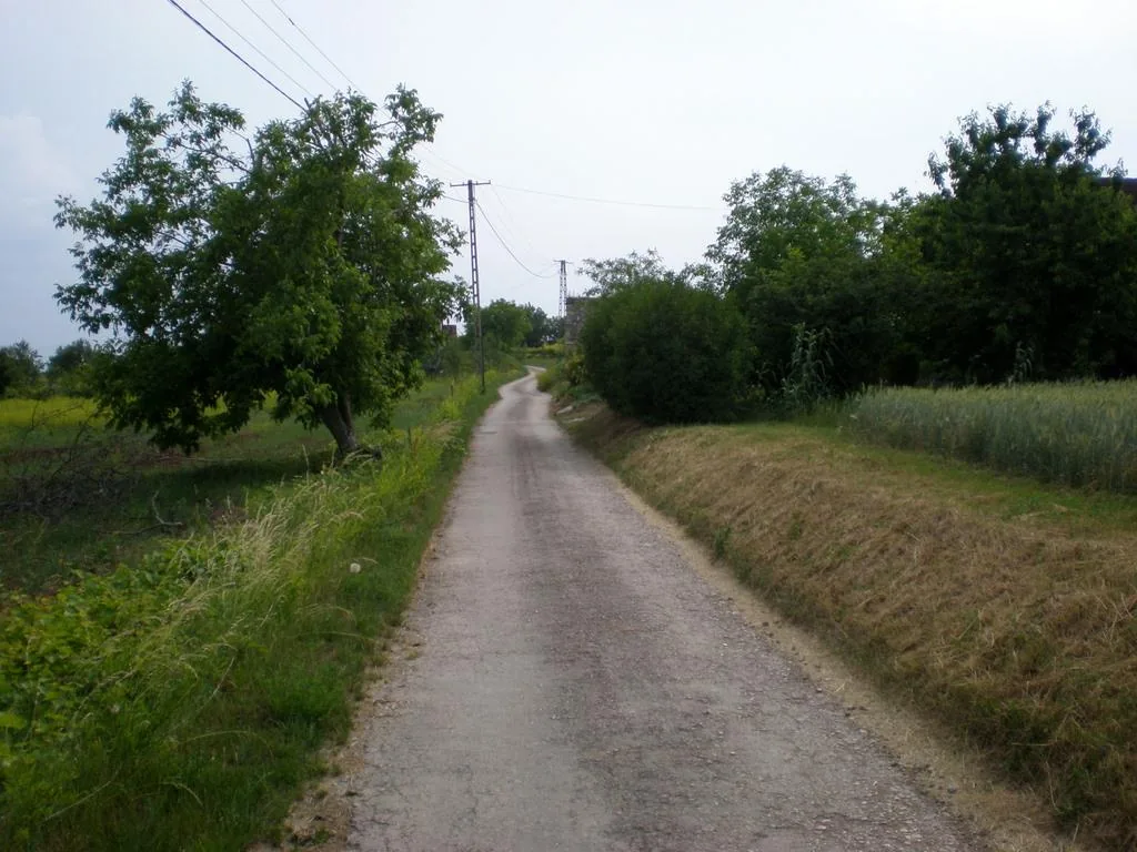 Szőlőhegy Fotók