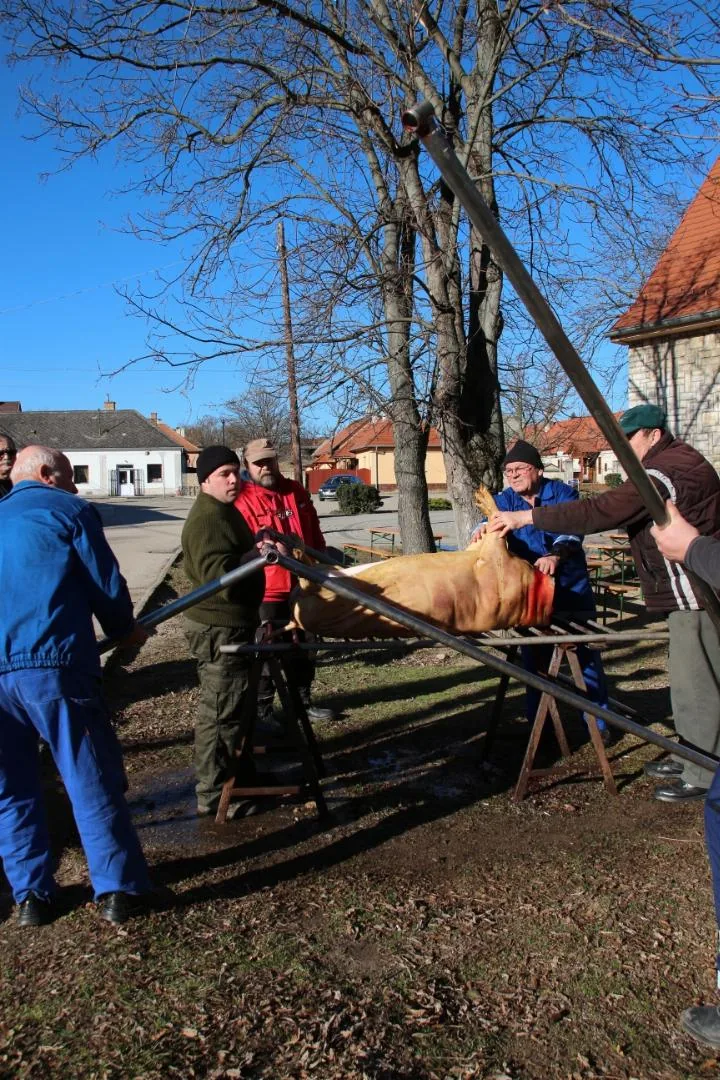 III. Disznóvágás 2017 febr 25. 