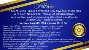 Plakátok