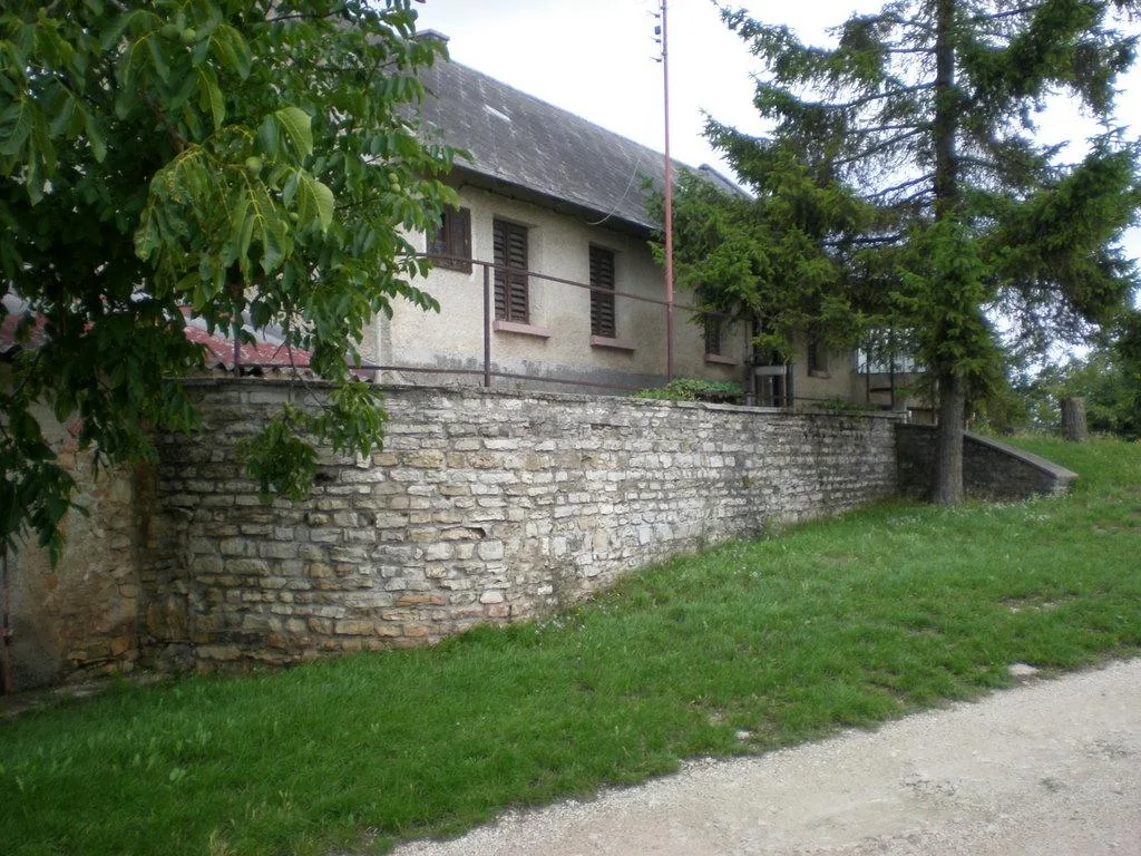 Szőlőhegy Fotók