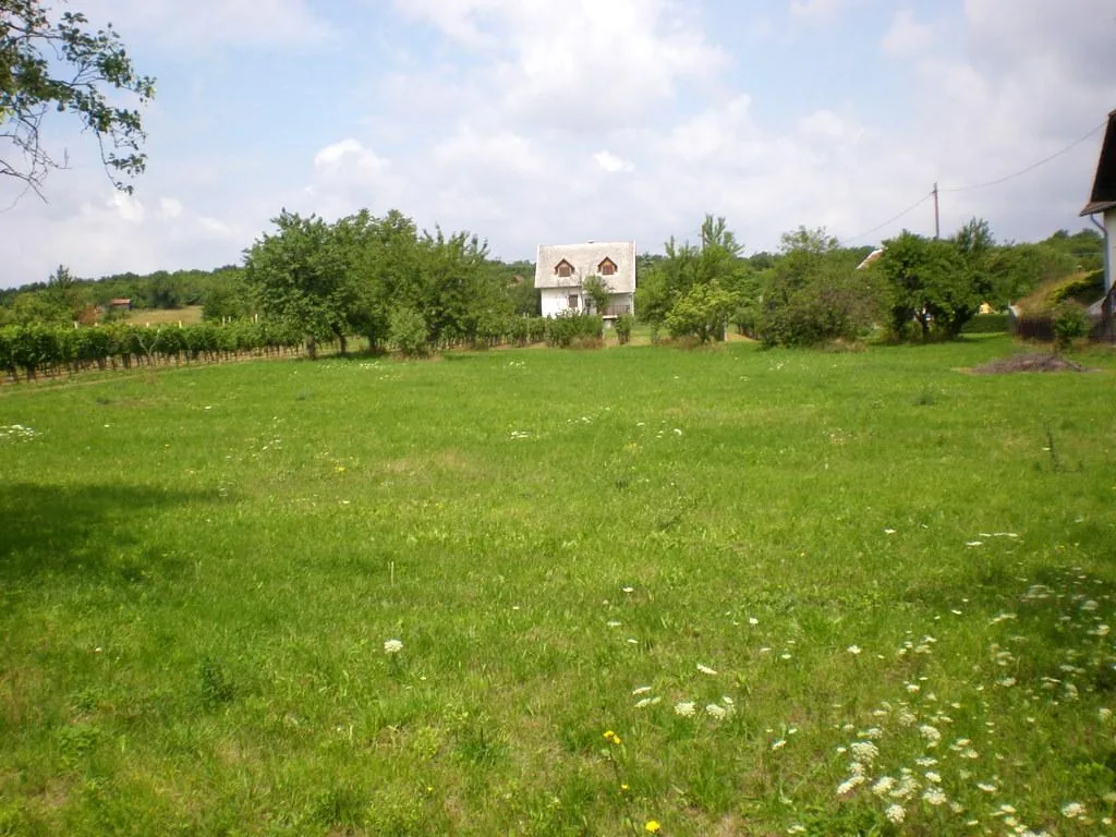 Szőlőhegy Fotók