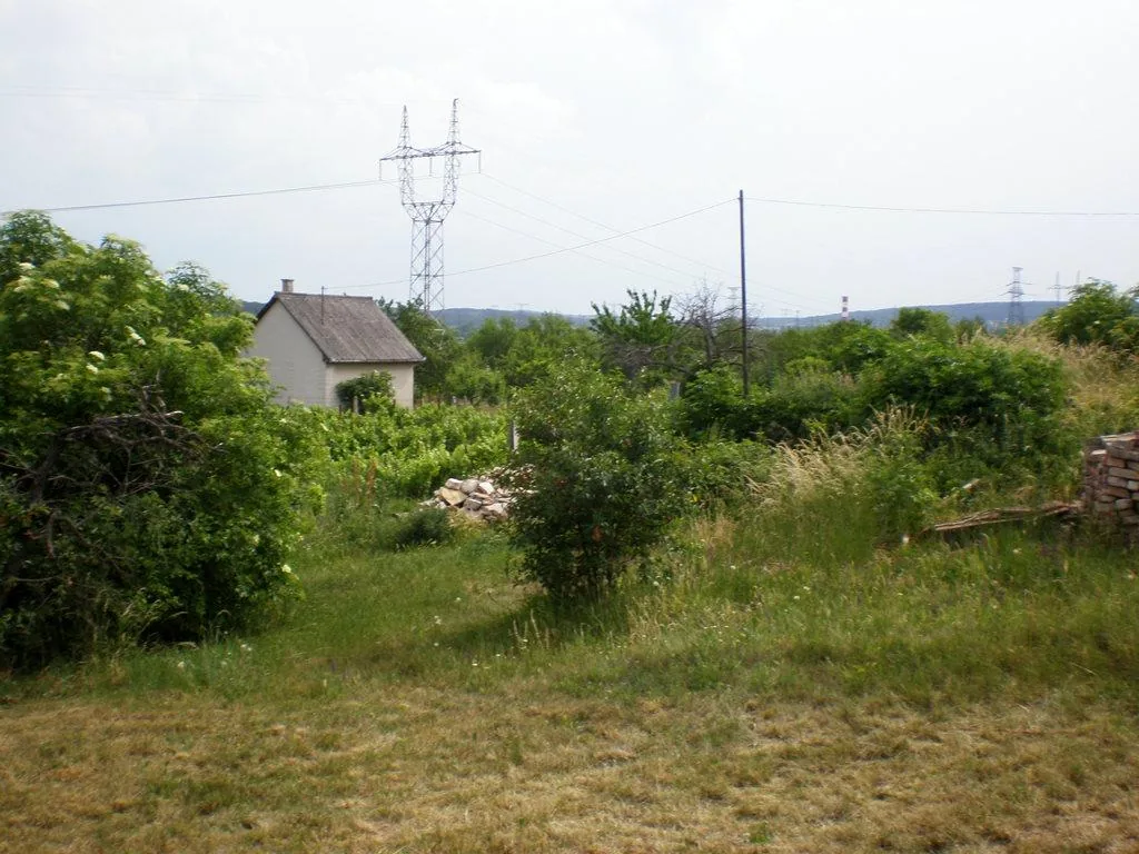 Szőlőhegy Fotók