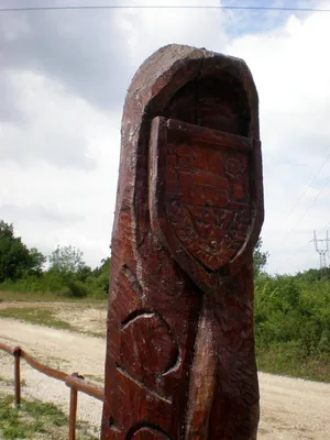Szőlőhegy Fotók