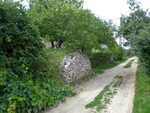 Szőlőhegy Fotók