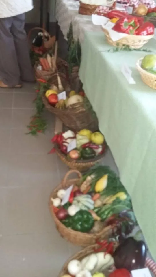 fotók, sólyi Önkormányzat: