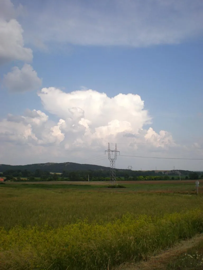 Szőlőhegy Fotók