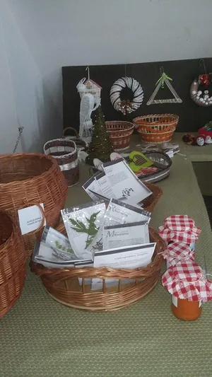 fotók, sólyi Önkormányzat:
