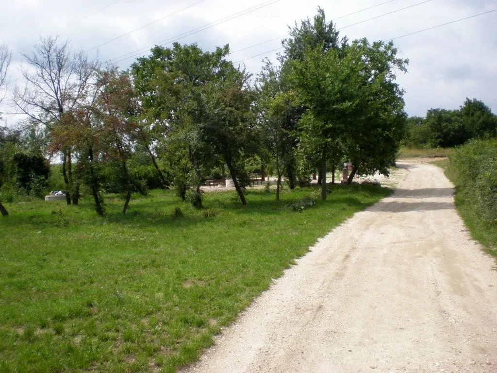 Szőlőhegy Fotók