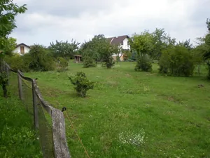 Szőlőhegy Fotók