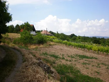 Szőlőhegy