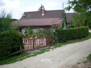 Szőlőhegy Fotók