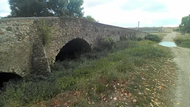 Képek 2021
