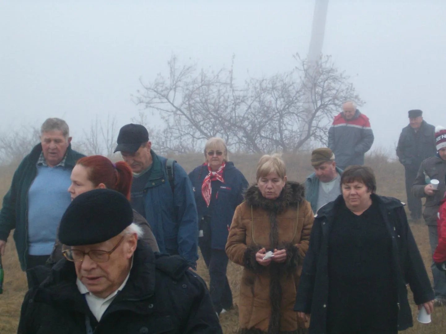 Újévi séta 2014