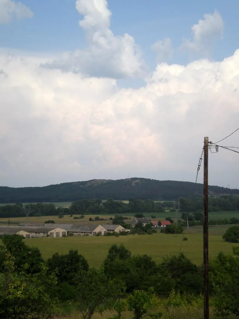 Szőlőhegy Fotók