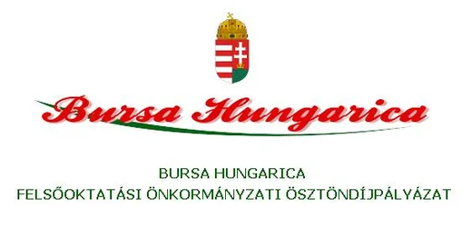 'Bursa Hungarica Ösztöndíjpályázatok' cikk borítóképe