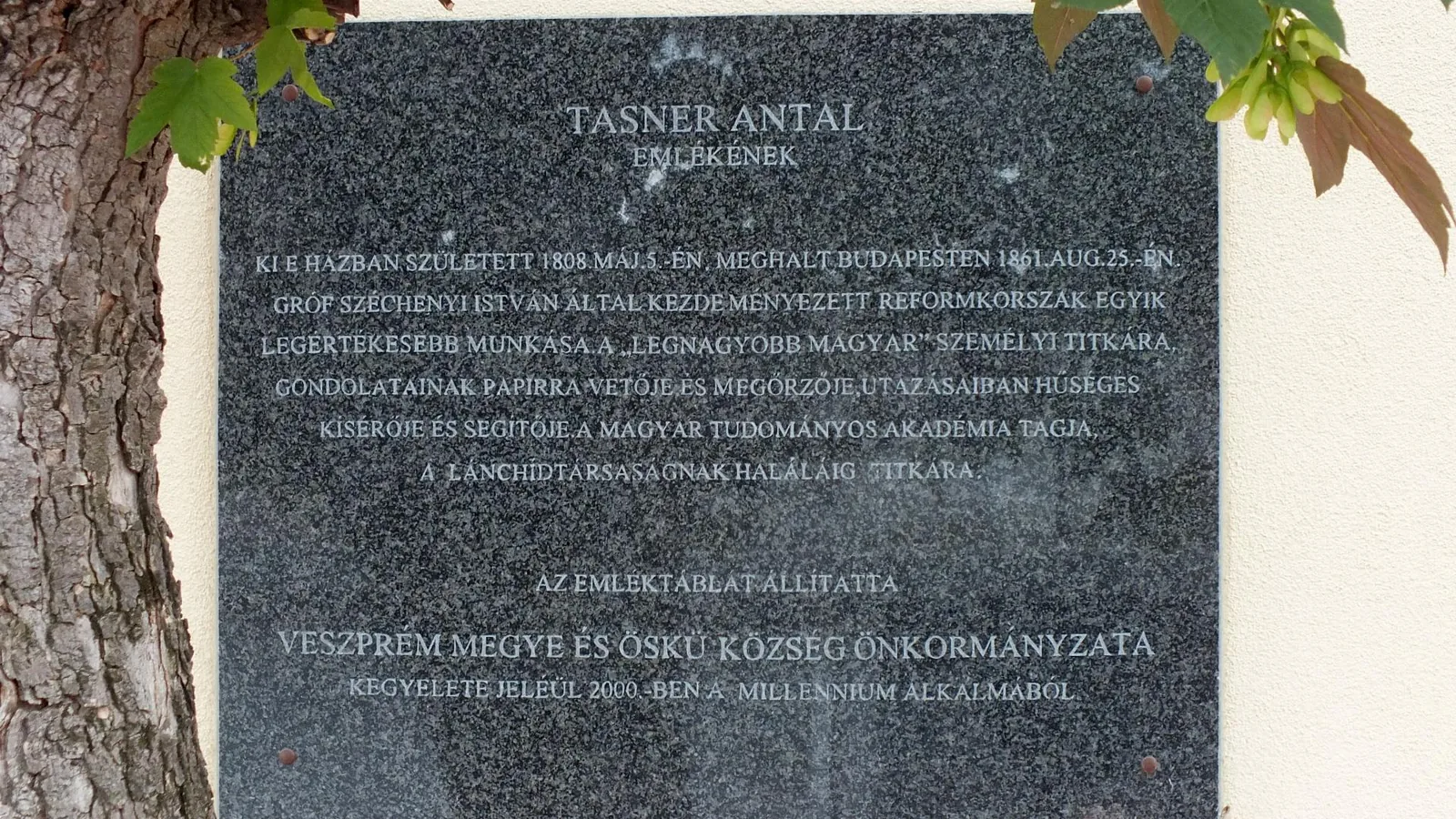 Tasner Antal