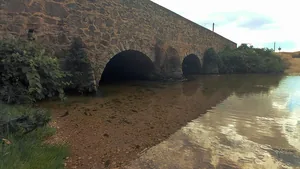 Képek 2021