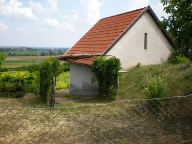 Szőlőhegy