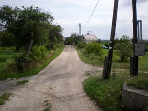 Szőlőhegy Fotók