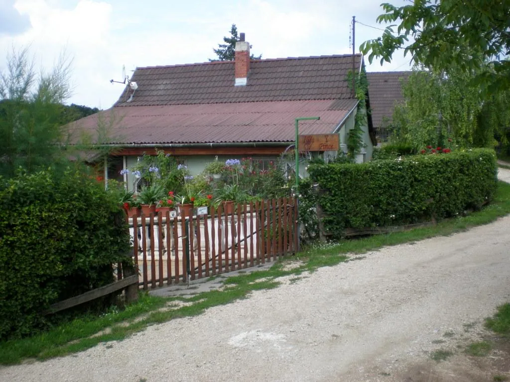Szőlőhegy Fotók