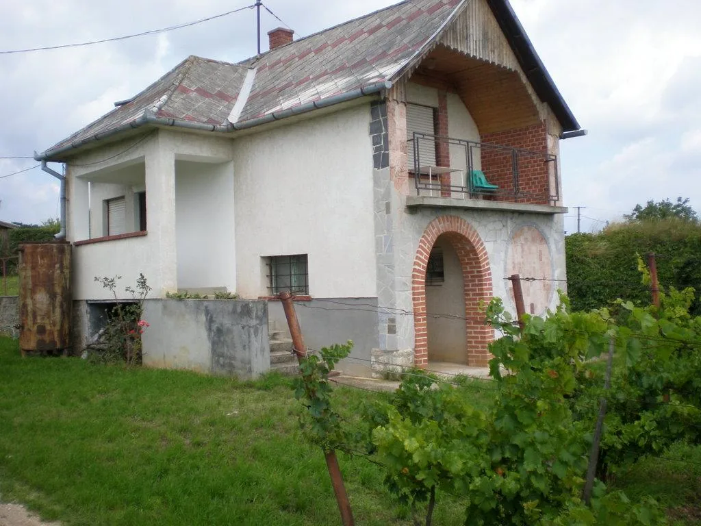 Szőlőhegy Fotók