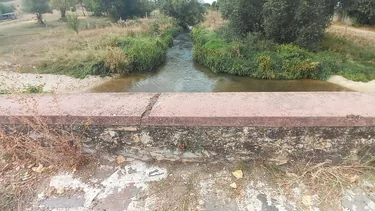 Képek 2021