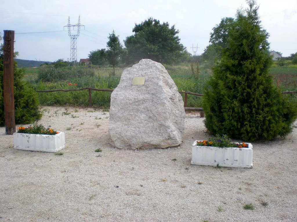 Szőlőhegy Fotók