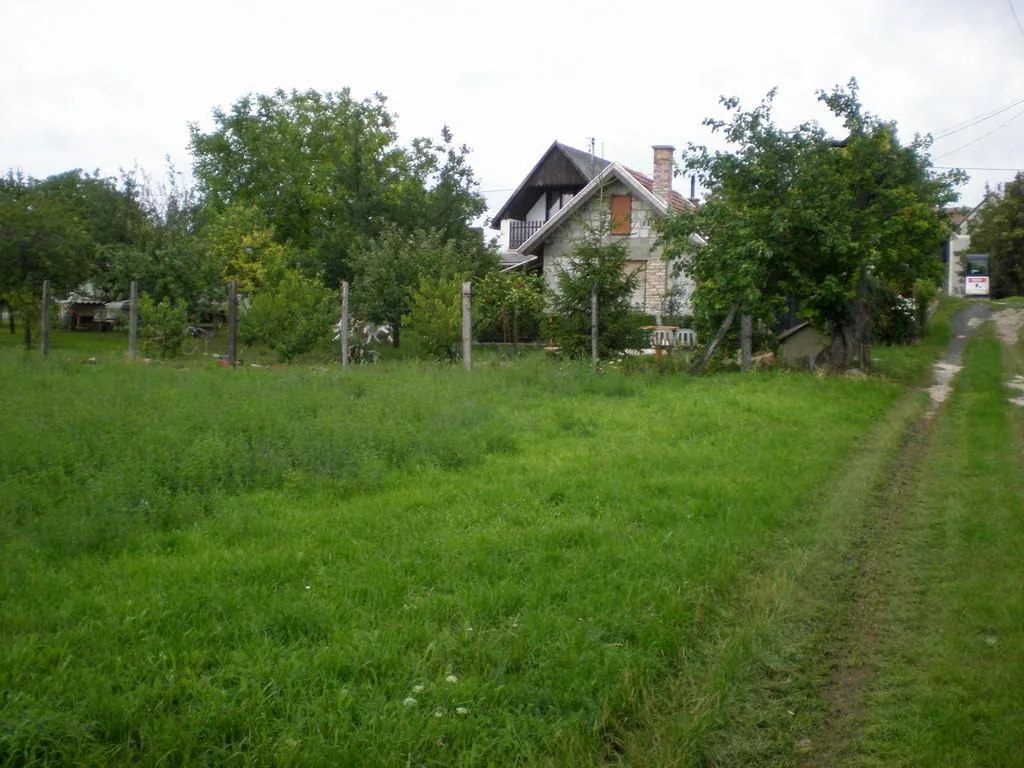 Szőlőhegy Fotók